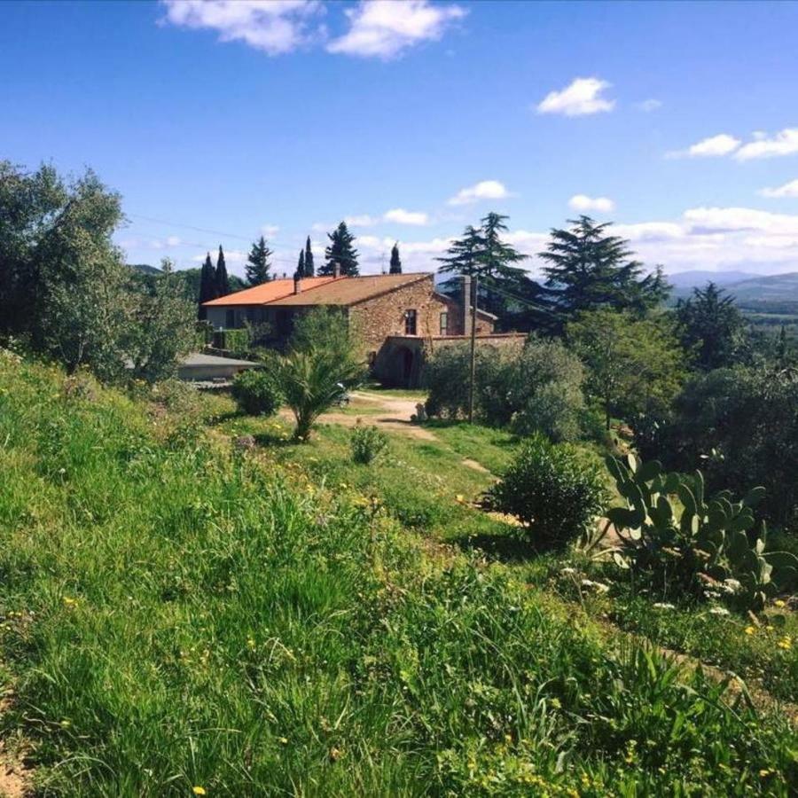 Podere Baloo Suvereto Exterior foto